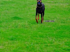 -国际非物质文化遗产博览园