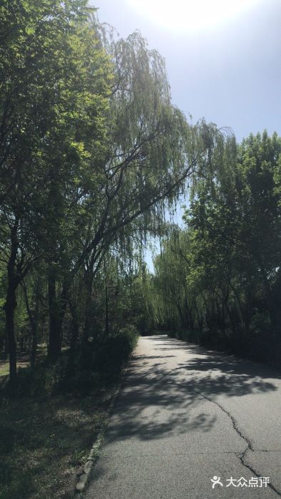 坝河休闲公园图片