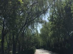 -坝河休闲公园
