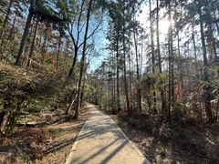 -青龙山国家森林公园