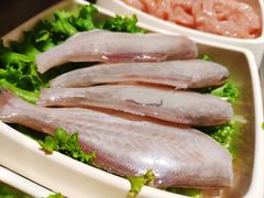 扒皮鱼-海底捞火锅(老城根店)