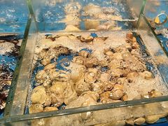 -福州西湖大酒店·怡湖咖啡厅