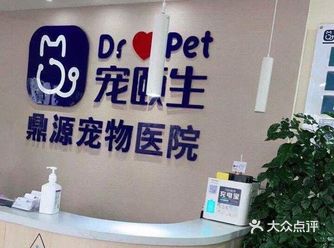 狗子突然拉稀还带血 实在是不放心带来让李健医生看一下