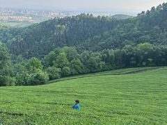 -敬亭山风景名胜区