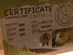 -龙猫仔乐园(惠福东路店)