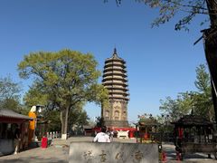 -高尔山公园