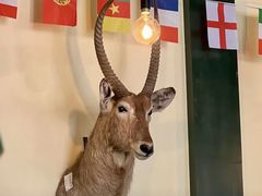 -普兰达德国餐厅·德式脆皮烤猪肘·自酿啤酒(观唐店)