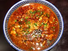-陈麻婆豆腐总店