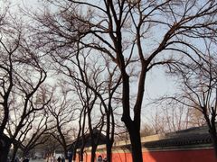 -北京国子监胡同