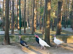 -南京金牛湖风景区