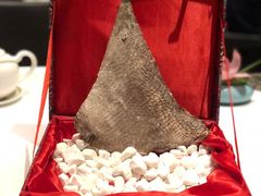 -万豪金殿(香港JW万豪酒店)