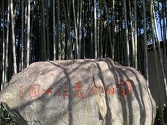 -上海醉白池公园