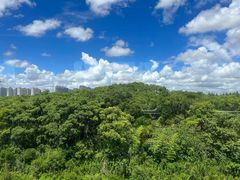 -上海中国航海博物馆