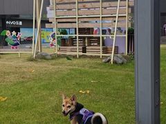 -汉堡王(徐汇绿地缤纷店)