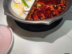 -九鼎轩脆毛肚火锅(三钢里店)