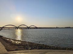 -哈尔滨道外花鸟鱼市场