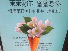 -野人先生现做冰淇淋(北京顺义祥云小镇店)