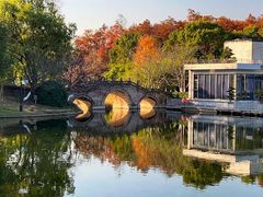 -上海共青森林公园