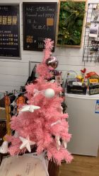 -文E范儿ZUMBA尊巴舞蹈