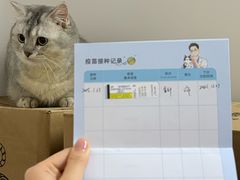 -御宝贝·A梦猫科宠物医院(国际猫友好医院)