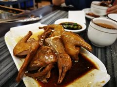 -鸽鸟轩(石岐店)