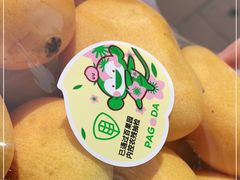 -百果园PAGODA(和泓四季店)