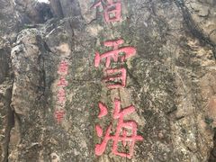 -香雪海