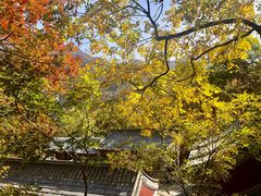 -北京上方山国家森林公园