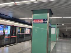 -宋家庄(地铁站)
