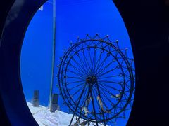 -海合安武汉极地海洋公园