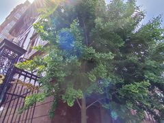 -中国工商银行(龙华支行)