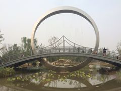 -武清南湖绿博园