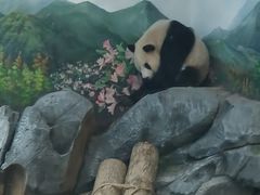 -武汉动物园