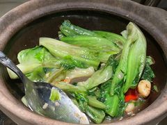 啫啫生菜煲-陶陶居酒家(SM二期购物广场店)