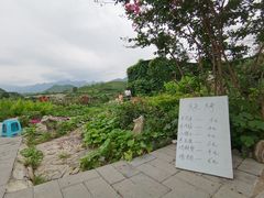 -双新垂钓园