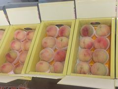 -南汇水蜜桃采摘(大团店)