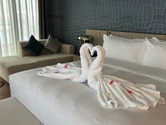 -深圳国际会展中心希尔顿酒店(前海华发冰雪世界店)