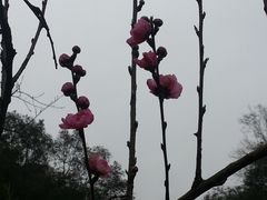 景点-常德桃花源景区