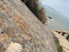 -阿军排档·烧烤