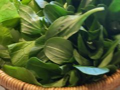 有机蔬菜-佬肥猫(国华广场店)
