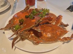 -阿尔法海鲜排档(爱琴海店)