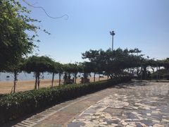 -碧海金沙