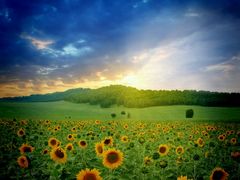 -北纬37°SPA养身会馆(湖西店)