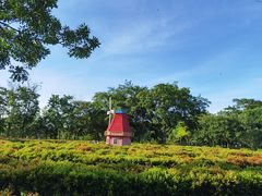 -东莞植物园
