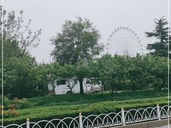 -琴岛之星摩天轮