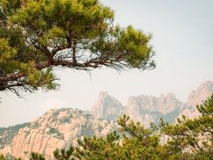 -崂山仰口游览区