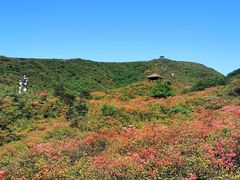 -大围山国家森林公园