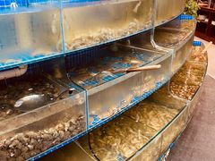 水产区-蟹谢蒸鲜自助餐厅