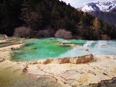 -黄龙山原始森林景区