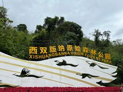 -西双版纳原始森林公园